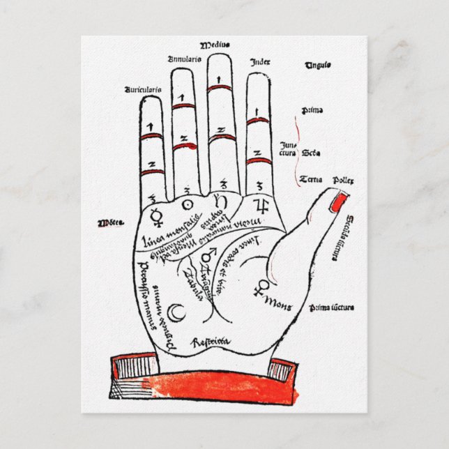 Palmistry Postcard (Front)