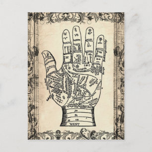 Palmistry Vintage Fortune Teller Postcard