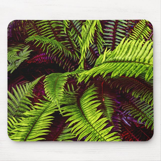 Palms 2 Mousepad (Front)