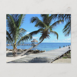 Palms and Pier in Belise Postcard