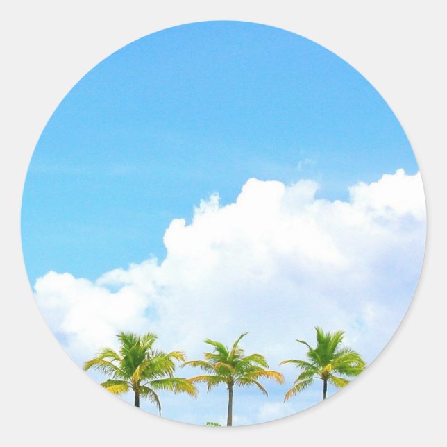 Palms Blue Sky And Clouds Blank Template Classic Round Sticker (Front)