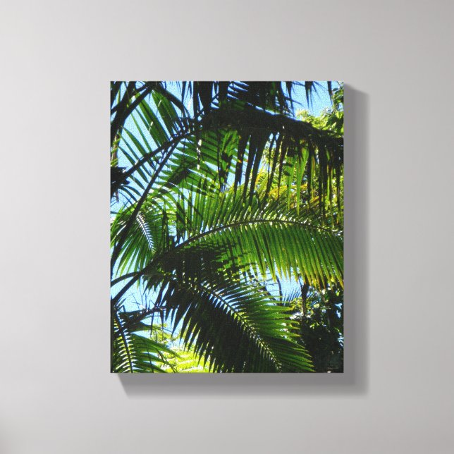 Palms Canvas Print (Front)