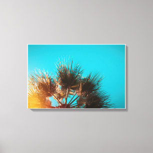 Palms in Batumi Georgia Canvas Print