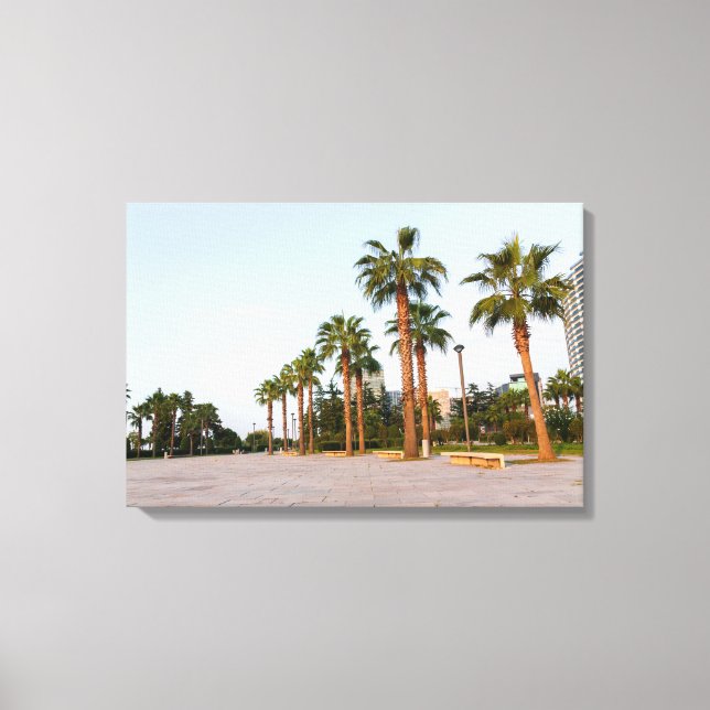 Palms in Batumi Georgia Canvas Print (Front)