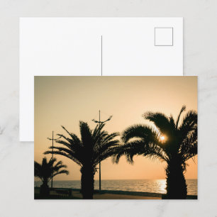 Palms in Batumi Georgia Postcard