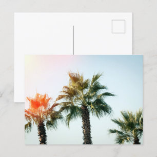 Palms in Batumi Georgia Postcard