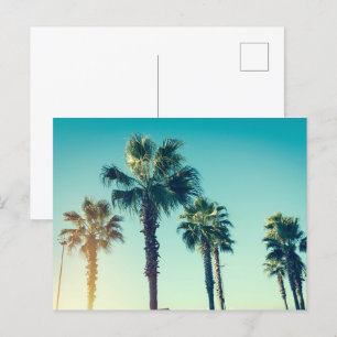Palms in Batumi Georgia Postcard