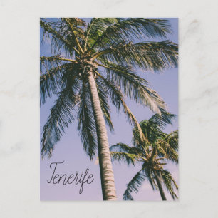 Palms in Tenerife Postcard
