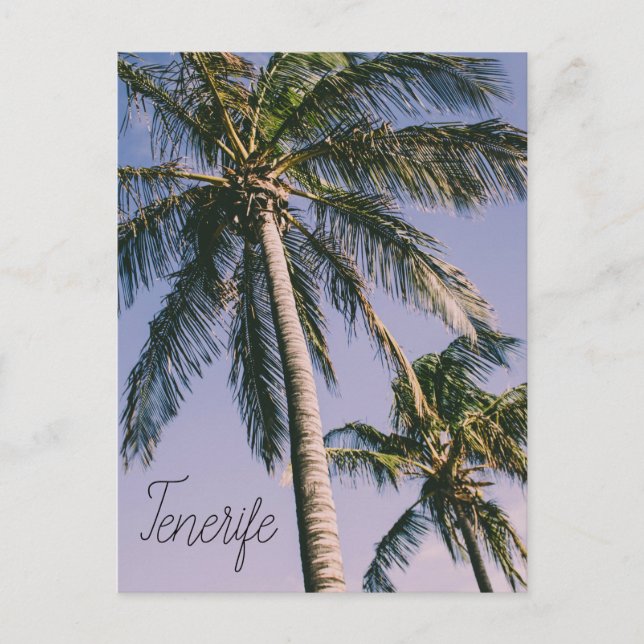 Palms in Tenerife Postcard (Front)