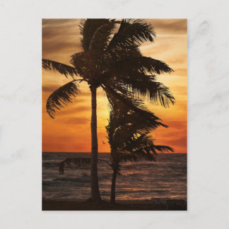 palms of paradise silhouette postcard