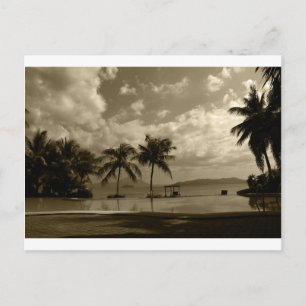 Palms Postcard