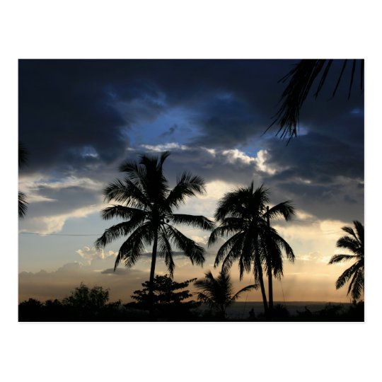 Palms sunset postcard