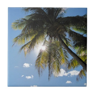 Palms Tile