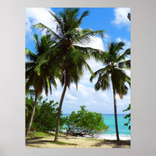 Palmtrees on Tropical Seascape Poster