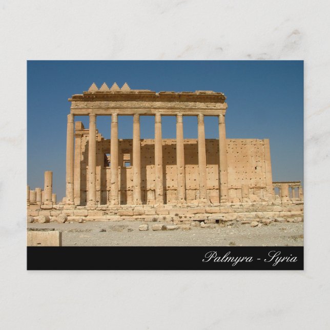 Palmyra, Bell Temple, Roman Ruins, Anscient Syria Postcard (Front)