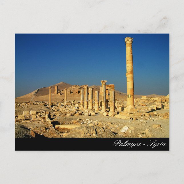 Palmyra, Bell Temple, Roman Ruins, Syria Postcard (Front)