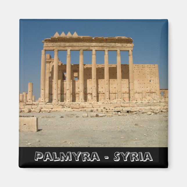 Palmyra, Bell Temple, Syria (Fridge Magnet) Magnet (Front)
