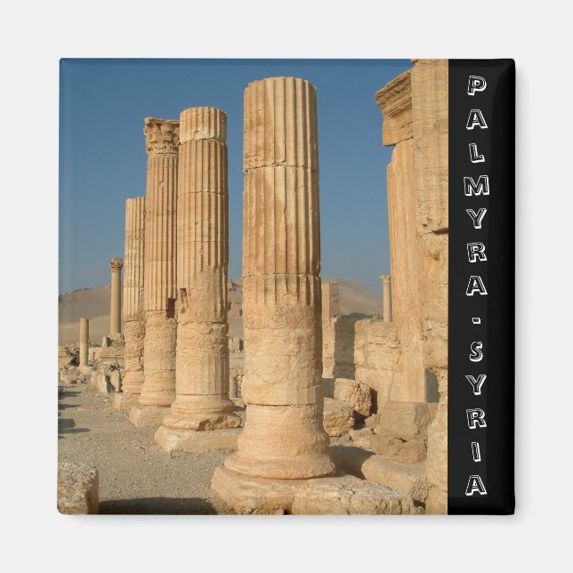 Palmyra, Bell Temple, Syria No.3 (Fridge Magnet) Magnet (Front)