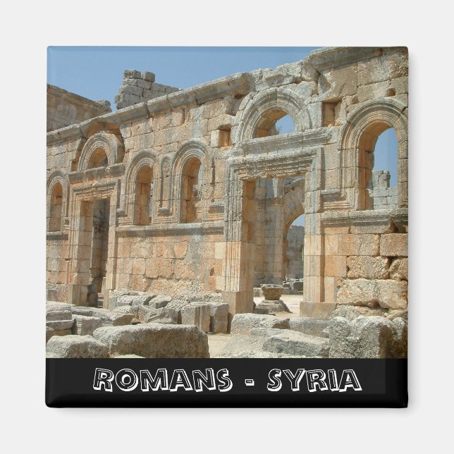 Palmyra, Lost treasures of Syria (Fridge Magnet) Magnet (Front)