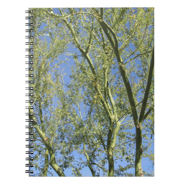 Palo Verde Trees Notebook (Front)