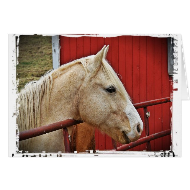 Palomino (Front Horizontal)