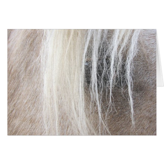 Palomino (Front Horizontal)