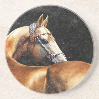 Palomino Akhal-teke stallion Coaster