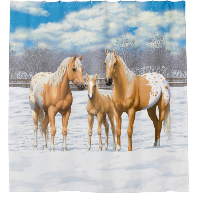 Palomino Appaloosa Horses In Winter Pasture Shower Curtain (Front)