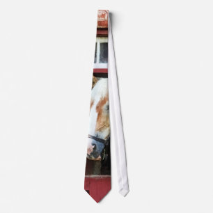 Palomino by Barn Door Tie