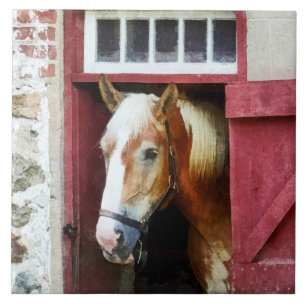 Palomino by Barn Door Tile