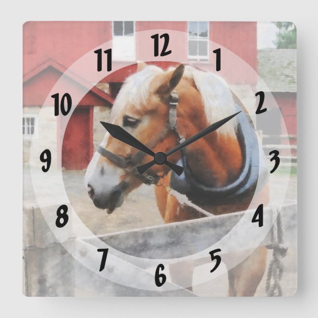 Palomino By Red Barn Square Wall Clock (Front)