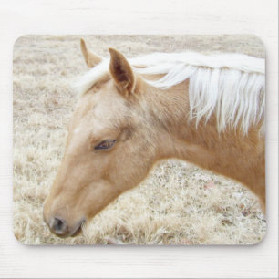 Palomino Colt Pony Horse Mouse Mat