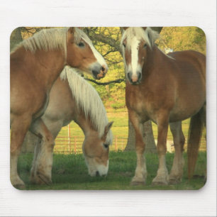 Palomino Draught Horses Mouse Pad