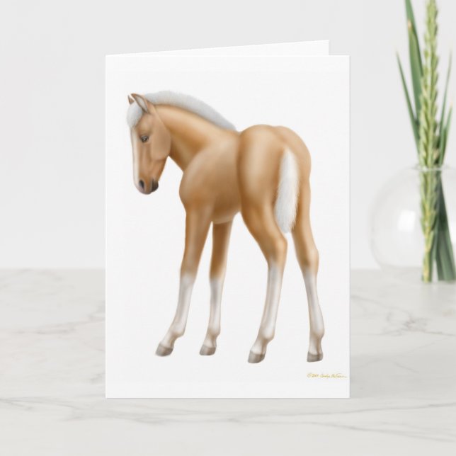 Palomino Foal Greeting Card (Front)