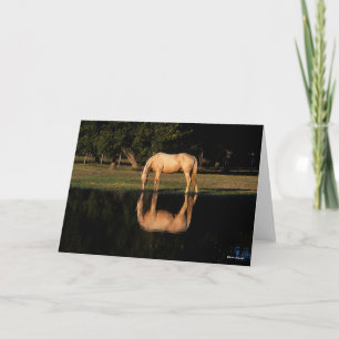 Palomino Grazing By Lake With Reflection Card