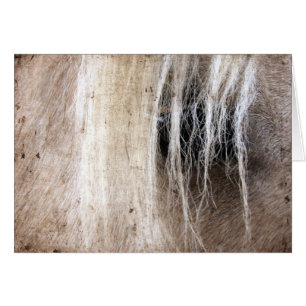 Palomino Grunge