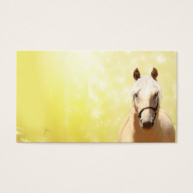 Palomino horse (Front)