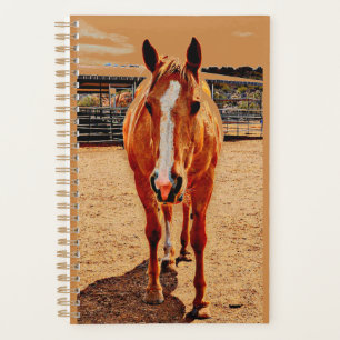 Palomino Horse  Daily Planner