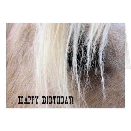 Palomino Horse Eye Birthday Card