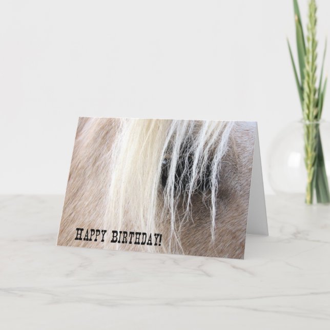Palomino Horse Eye Birthday Card (Front)