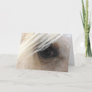 Palomino Horse Eye Card