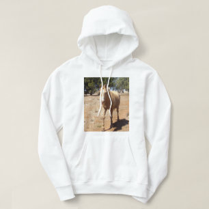 Palomino Horse Greeting, Hoodie