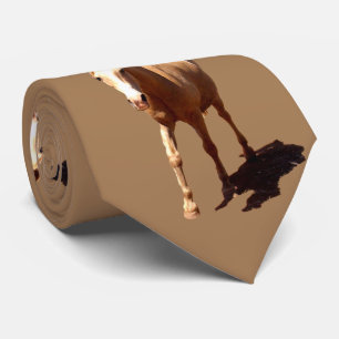 Palomino Horse Greeting, Tie