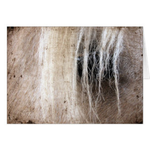 Palomino Horse Grunge