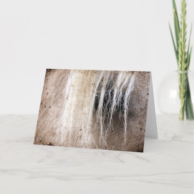 Palomino Horse Grunge Birthday Card (Front)