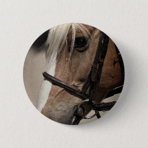 Palomino Horse in Bridle 6 Cm Round Badge