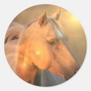 Palomino Horse in Light Sticker