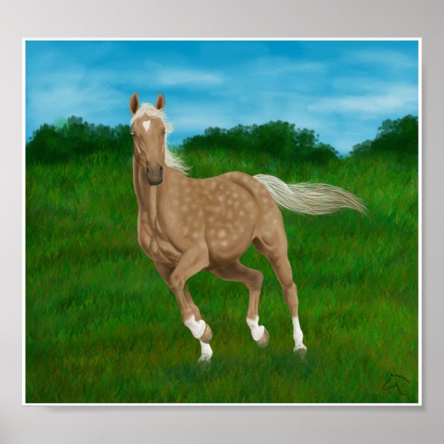palomino horse in meadow poster (Front)