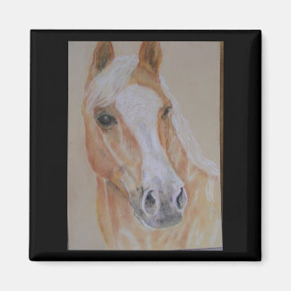 palomino horse magnet