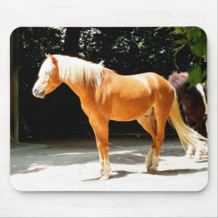 Palomino horse mouse mat